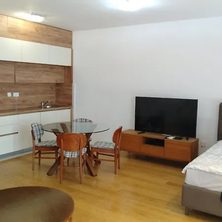 Athos Square Apartments 波德戈里察 外观 照片